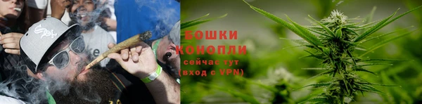 соль ск Верхний Тагил