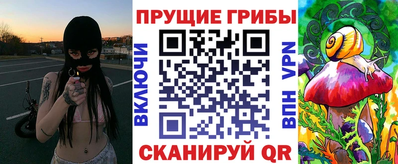 Псилоцибиновые грибы Psilocybine cubensis  ОМГ ОМГ зеркало  Зима  купить  